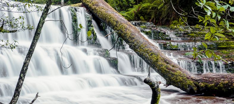 Beautiful Liffey Falls in the Midlands Region, Tasmania after heavy rain fall.