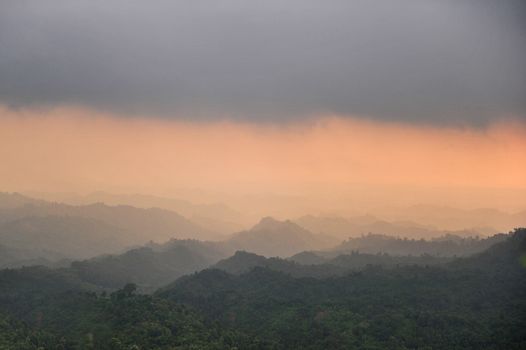 Morning fog in the mountain