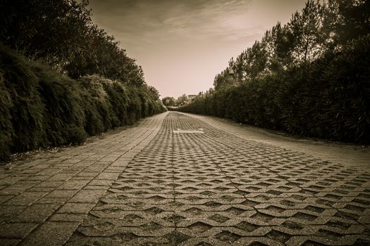 Sepia-colored walkway in the park.