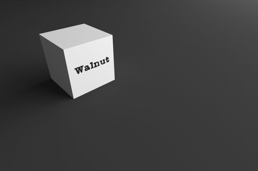 3D RENDERING WORD Walnut WRITTEN ON WHITE CUBE WITH BLACK PLAIN BACKGROUND