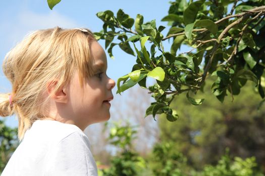 Portrait of cute baby girl watching leafage