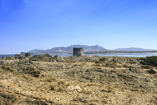 La pelosa beach in Sardinia island, Italy