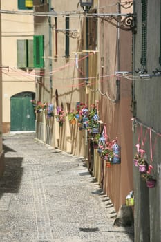 colored  flowers in the wall