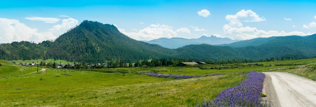 Rural road in mountains in Altay, Siberia, Russia