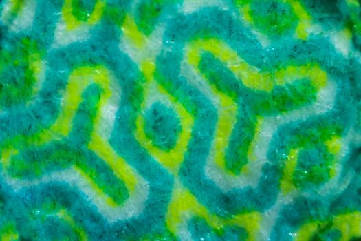 Abstract green pattern fabric texture on israeli money bill of 50 shekel under the microscope. Closeup macro photography.