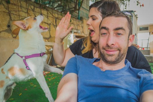 Playful and excited jack russell terrier dog surprise and interrupt to young couple that are trying to be photographed.