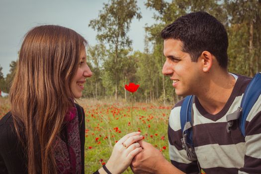 Man giving a woman single red anemone flower in anemones field.