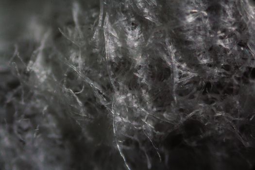 Tissue paper fibers under the microscope.