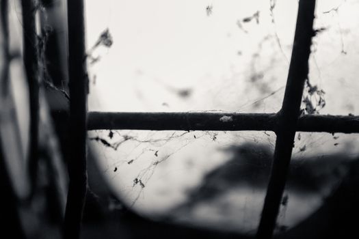 Old lamp. It has spider webs and dust .dark and mysterious atmosphere .Extreme close up
