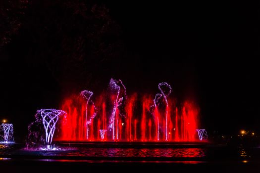 Colorful musical fountain in Margaret Island, Budapest, Hungary at night
