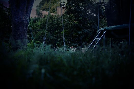 Abandoned swing hidden behind the grass in the park.
A dark and mysterious atmosphere.