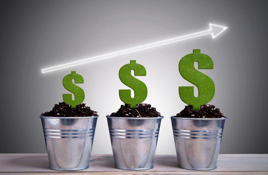 Arrow pointing upwards with different phases of dollar growth in plant pots 