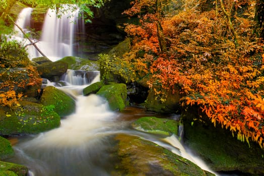 beautiful waterfall in rainforest at phu tub berk mountain  phetchabun, Thailand. (Mun Dang waterfalls)