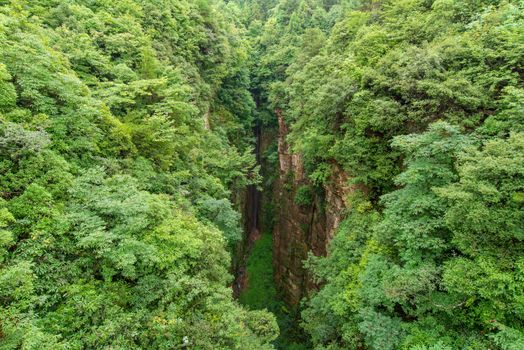 Zhangjiajie National forest park at Wulingyuan Hunan China.