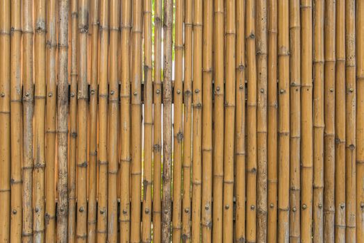bamboo fence wall texture pattern for background.