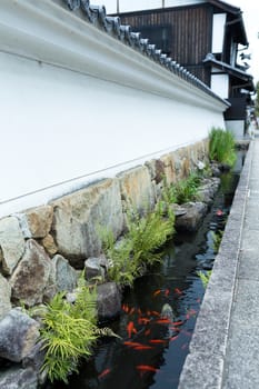 Japanese Garden and river canal of Koi fish