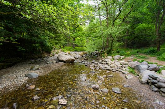 The New Forest national park Hampshire.