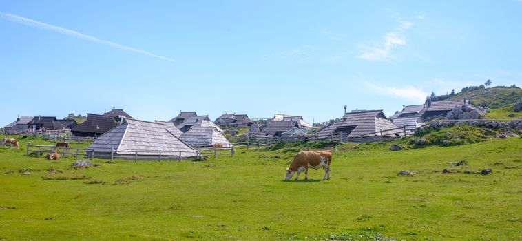 Velika planina plateau, Slovenia, Mountain village in Alps, wooden houses in traditional style, popular hiking destination