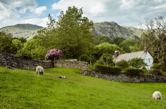Farm in the Lake district area in England