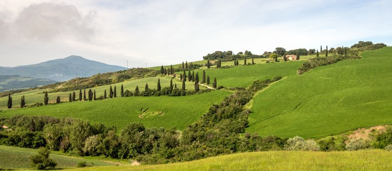 VAL D'ORCIA, TUSCANY/ITALY - MAY 22 : Scenery of Val d'Orcia in Tuscany on May 22, 2013