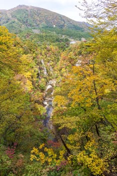 Naruko canyon in autumn