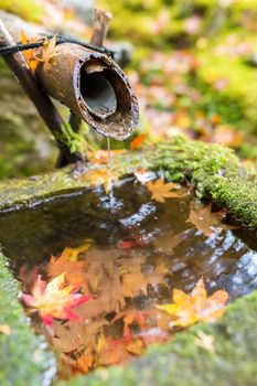 Traditional bamboo fountain in autumn