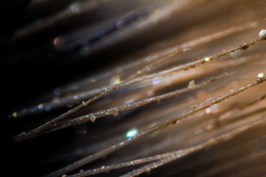 Makeup brush fibers under the microscope. Closeup macro photography.
