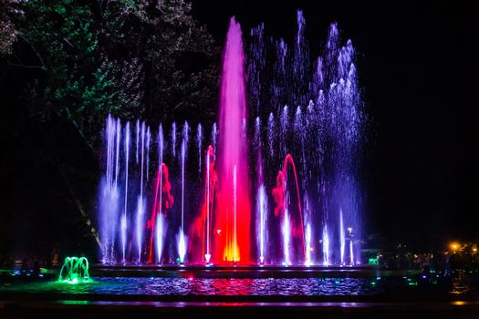 Colorful musical fountain in Margaret Island, Budapest, Hungary at night
