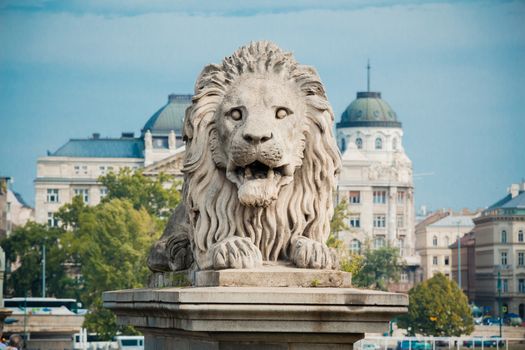 Lion statue at the Chain bridge, Budapest, Hungary.