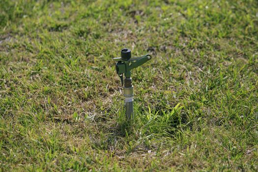 System of irrigation of grass