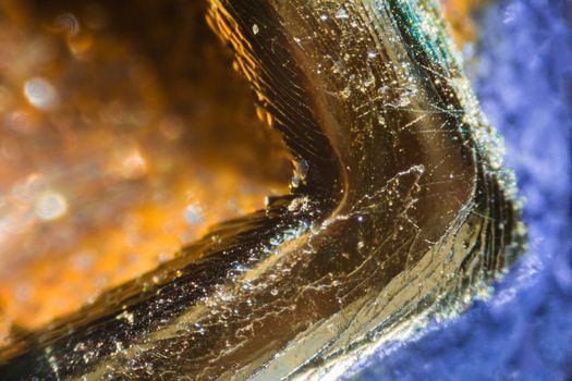 Credit card number under the microscope. Closeup macro photography.