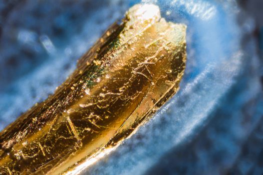 Credit card number under the microscope. Closeup macro photography.