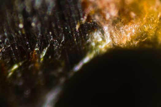 Extreme closeup of a knife under the microscope.