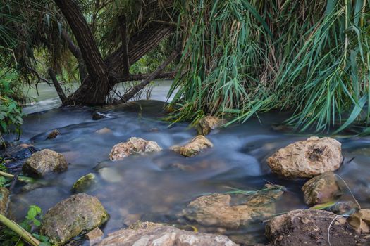 Peaceful Stream flows through forest
