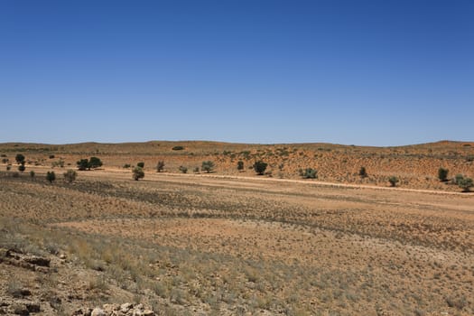 Panorama from Kgalagadi National Park, South Africa