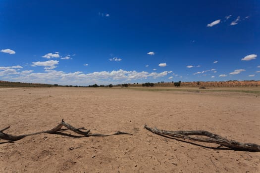 Panorama from Kgalagadi National Park, South Africa