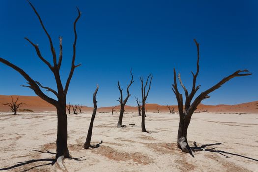 A view from Dead Vlei, Sossusvlei Namibia