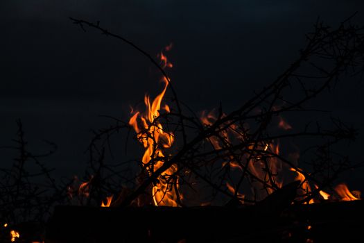 Campfire at twilight on beach.