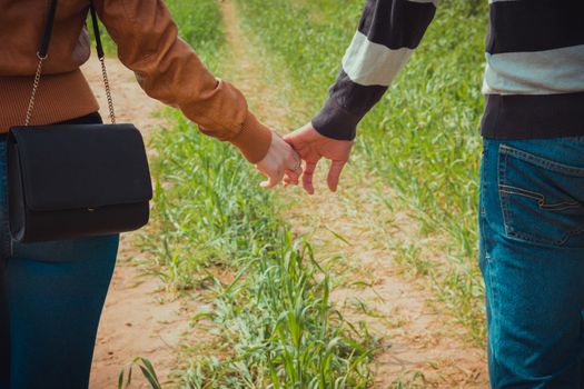 Young couple holding hands on the background of green grass
