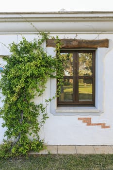 Mediterranean house. Door and window