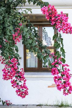Mediterranean house. Door and window