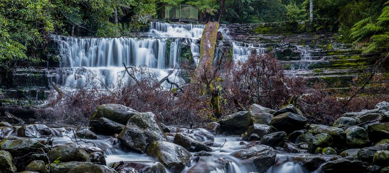 Beautiful Liffey Falls in the Midlands Region, Tasmania after heavy rain fall.