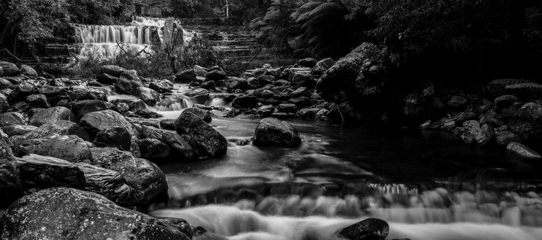 Beautiful Liffey Falls in the Midlands Region, Tasmania after heavy rain fall.