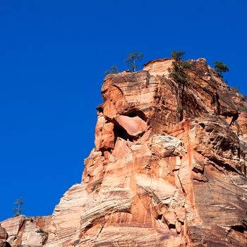 Rocky Outcrop in Zion National Park