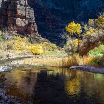 Reflections in the Virgin River