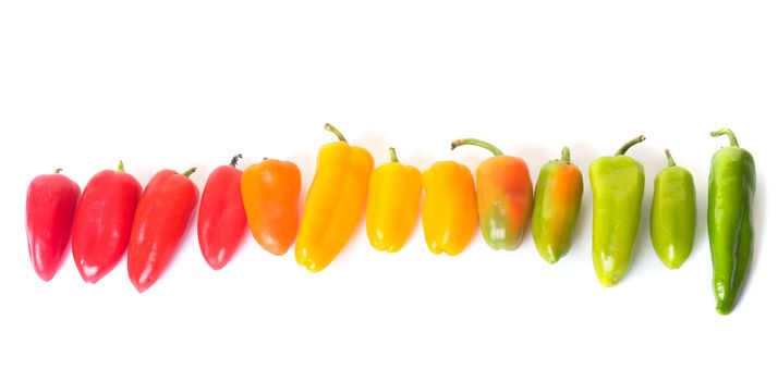 colorful sweet pepper in front of white background