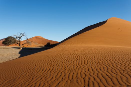 Red dunes on the road to Sossusvlei, Namibia