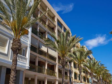Sunny Mediterranean popular summer tourist destination beach, promenade with palm trees Torrevieja, Valencia, Spain