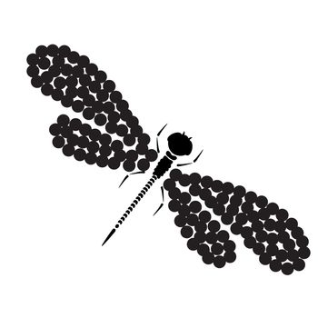 Dragonfly silhouette. Cartoon graphic illustration of damselfly isolated with black and white wings. Sketch insect