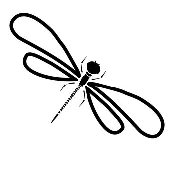 Dragonfly silhouette. Cartoon graphic illustration of damselfly isolated with black and white wings. Sketch insect